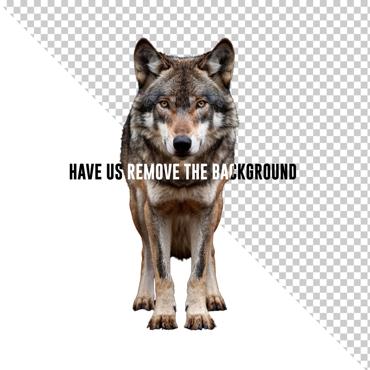 A Mess Eraser - Have us Remove the Background on any Image!